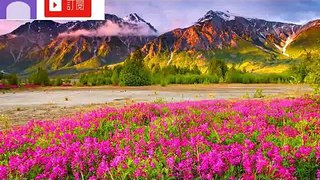 经典中文怀旧老歌 Chinese Classic Songs