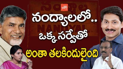 నంద్యాలలో... ఒక్క సర్వేతో అంతా తలకిందులైంది | Nandyal By Election Victory Prediction by Survey | YOYO TV CHANNEL