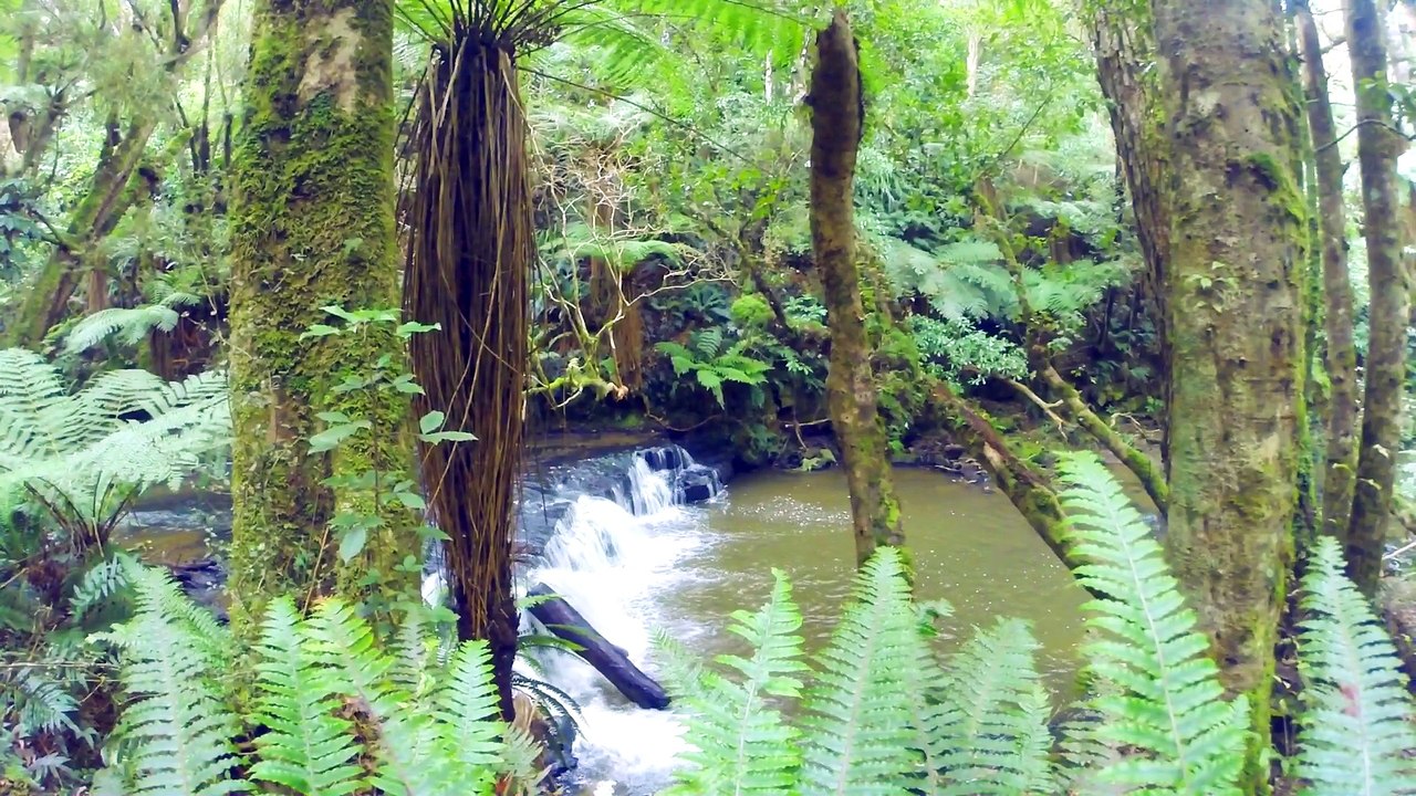 NewZealand-