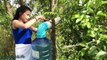 Wow!Amazing Beautiful Girl Makes Awesome Quick Bird Trap Using Compound PVC PIPE and Plast