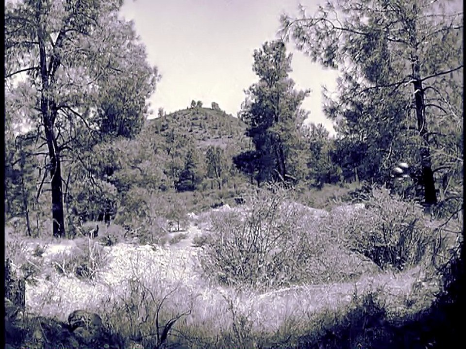 Petticoat Junction The Very Old ANTIQUE