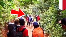Video pungutan liar di Gunung Guntur, lelaki seram minta uang ke para pendaki  - TomoNews