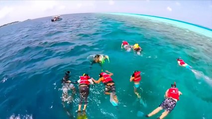 Exit Your Comfort Zone Inspirational Video