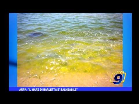 Arpa: Il mare di Barletta e' balneabile