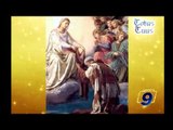 Totus Tuus |  Beata Maria Vergine del Monte Carmelo (16-07-2012)