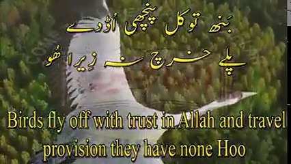 Daal Daleelan Chod Wajudoon, Kalaam Abyat Hazrat Sakhi Sultan Bahoo RA (Iqbal Bahoo)