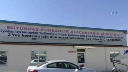 Araba Fiyatına Kurbanlık 'Mareşal'