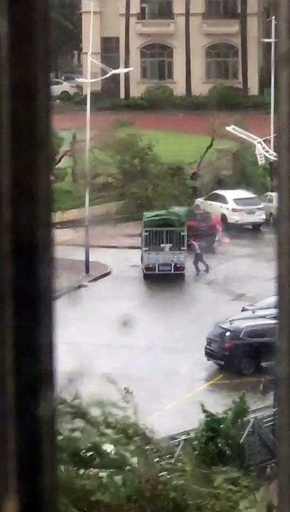 Funny videos