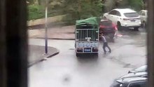 Funny videos