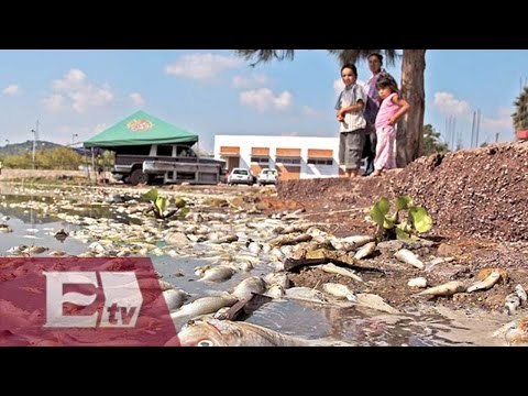 Altos niveles de contaminación en el Golfo de México por fertilizantes/ Yazmín Jalil