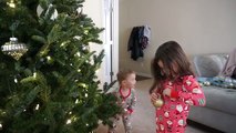 Des voitures enfants Noël décorer Oeuf pour gelé le le le le la jouet Entrainer arbre Disney mcqueen surprise
