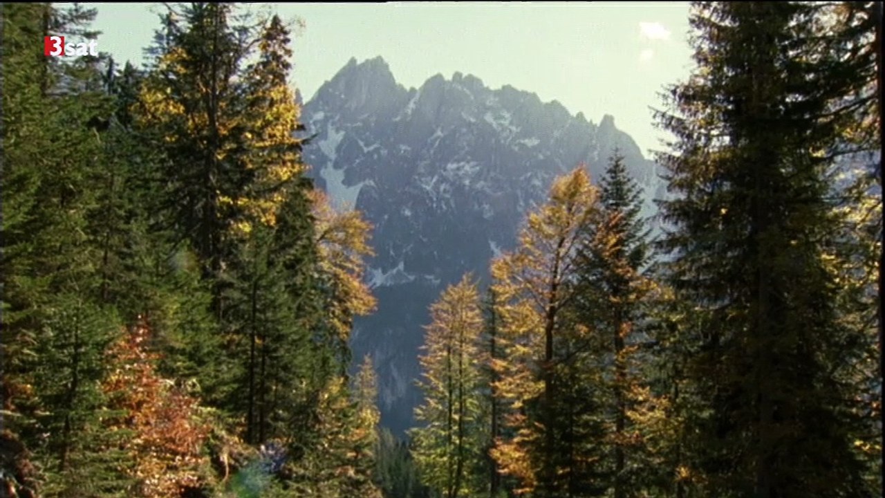 3sat-Hallstatt - Ein Leben zwischen Fels und See-0876980110