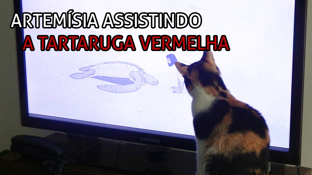 Artemísia assistindo “A Tartaruga Vermelha”