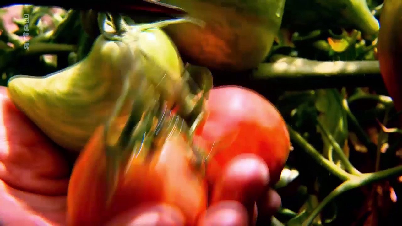 Zu tisch in der provence (frankreich) - traditionelle gerichte