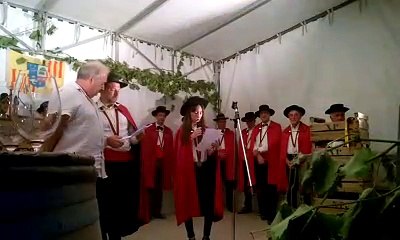 Ban des vendanges à Visan