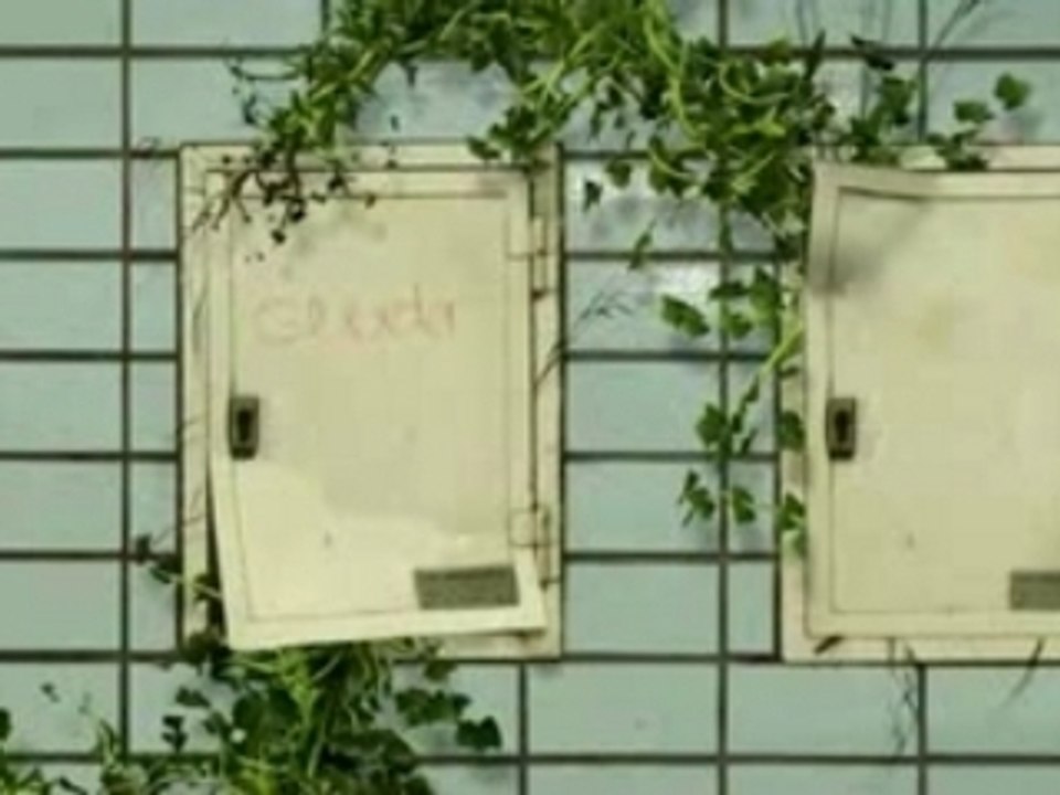 Hektik Street Wear Promo Vid