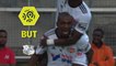 But Gaël KAKUTA (14ème) / Amiens SC - OGC Nice - (3-0) - (ASC-OGCN) / 2017-18