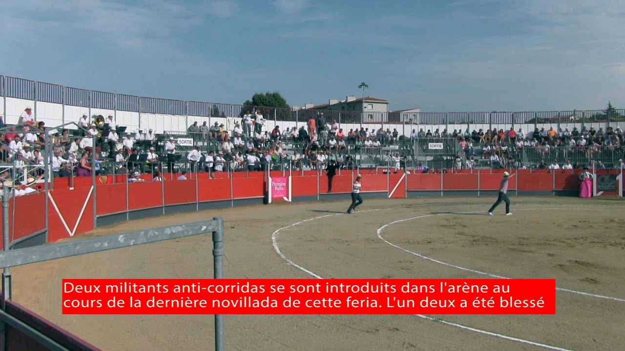 Un militant anti corrida blessé dans les arènes Jean Cau au cours de la feria de Carcassonne