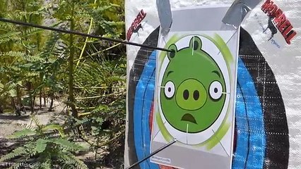 Pig Portal Problems - Angry Birds Parody