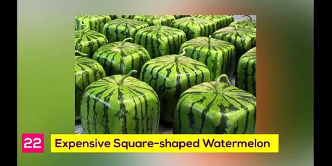 25 Weird Japanese Inventions