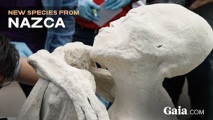 SPECIAL REPORT: UNEARTHING NAZCA | Only on Gaia.com!
