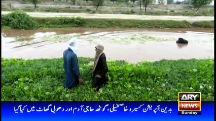 Criminal Most Wanted 27th August 2017