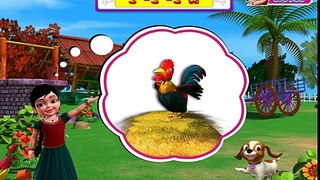 Ko Ko Ko Kodi - Chinnu Telugu Rhyme 3D Animated