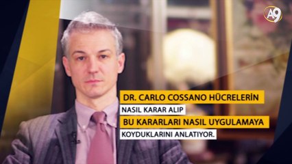 Dr. Carlo Cossano hücrelerin nasıl karar alıp bu kararları nasıl uygulamaya koyduklarını anlatıyor.