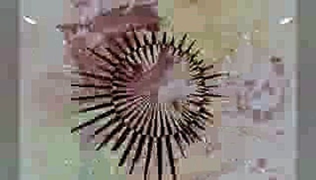 Fheuler34 -Emeli Sande read all About It