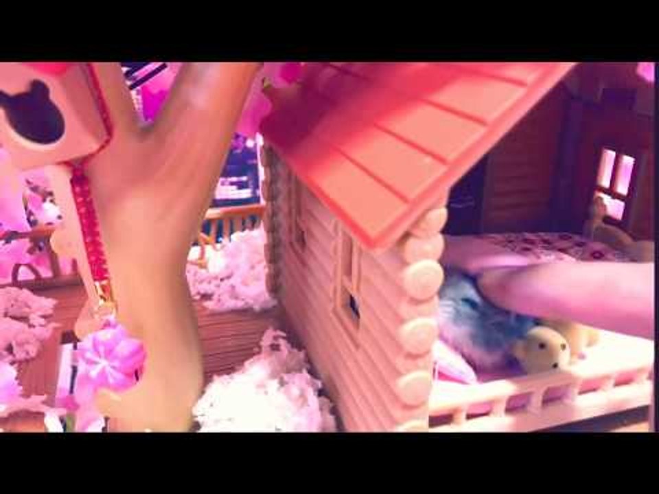 Hamsterrific Life for Shibuya the Pampered Hamster