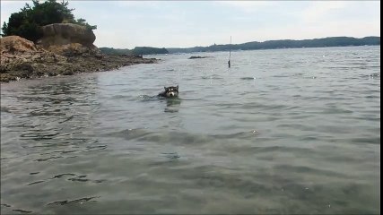 次郎六郎海水浴場1