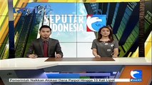 Domba Garut Pernah Raih Penghargaan dari Jokowi