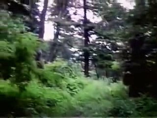 카지노바카라룰렛＼＼【ＢＳＣ８２。ＣＯＭ】＼＼카지노바카라게임