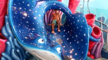 Family Fun in the Mickey Mouse Pool Finding Nemo Splash Pad Disney Cruise Fantasy Play Are