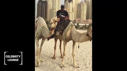 Chris Gayle Riding Camel 2017