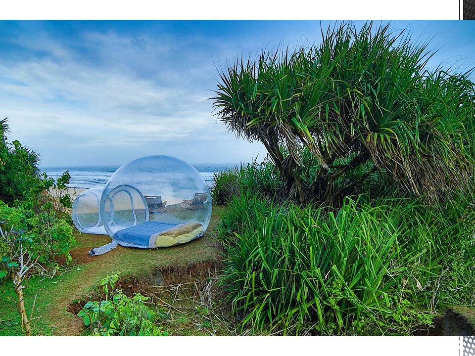 Bubble Hotel
