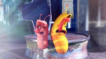 LARVA FLARE | Cartoon Movie | Cartoons For Children | Larva Cartoon | LARVA Official by Lu