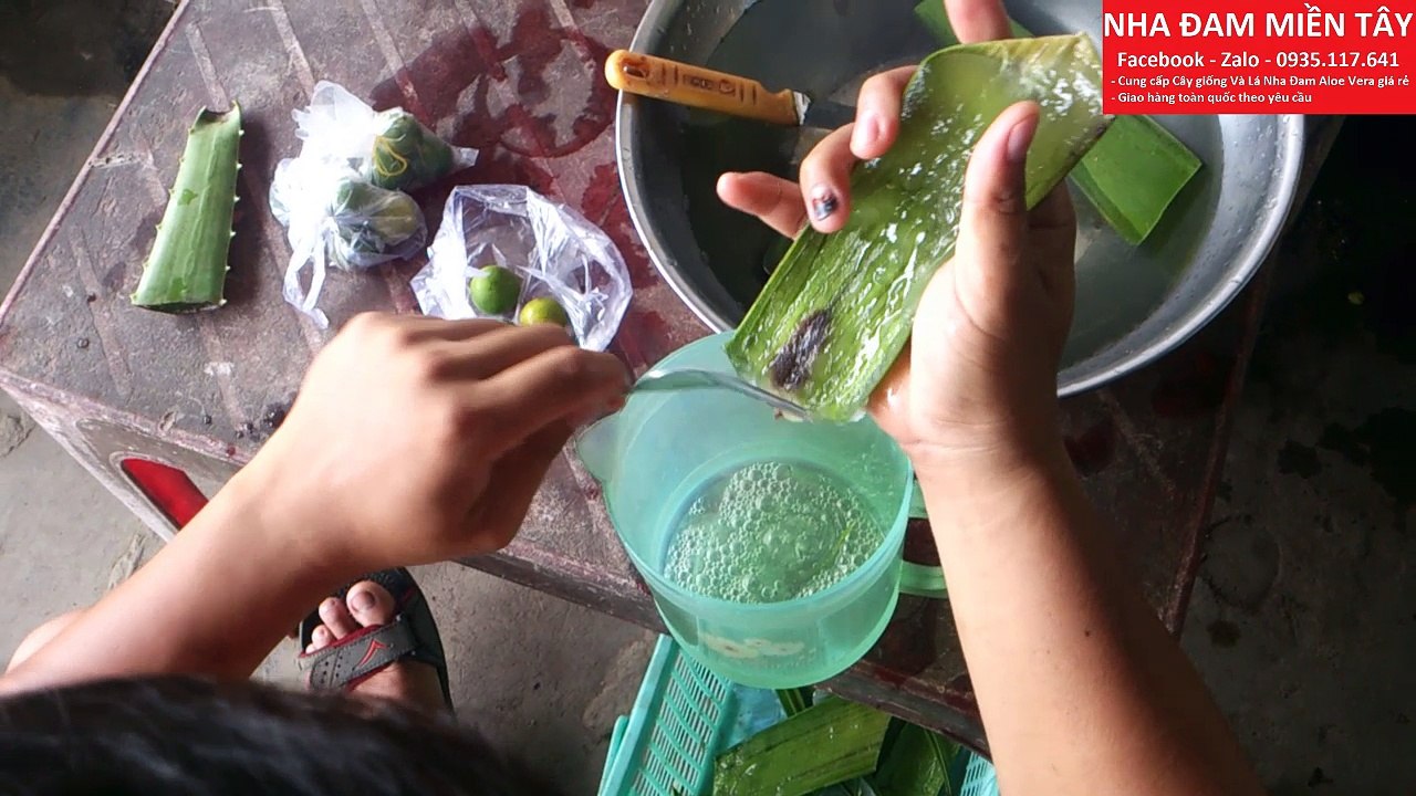 Làm Nước Uống Nha Đam chanh đường cực ngon l Make drinks aloe vera juice with lemon and sugar