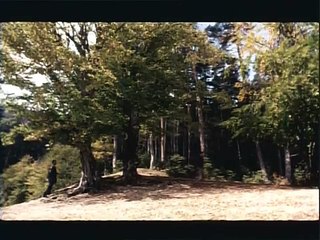 Akrebin Yolculuğu Türk Filmi by Cody Souther