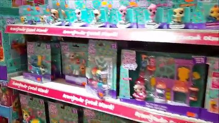 Minişlerin Yeni 5. Serisinin Neredeyse Hepsini Topladımm *:･ﾟ✧ | LPSEM miniş videoları