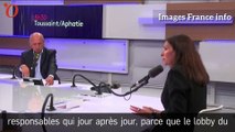 Anne Hidalgo raconte avoir été «menacée» par des lobbys automobiles