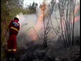 TG 23.08.13 Incendi, calano in Italia ma aumentano in Puglia