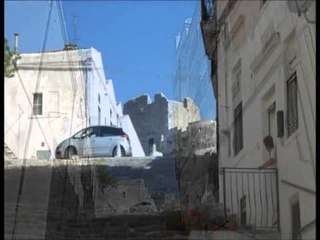 TG 27.08.13 Montesantangelo bruciata auto