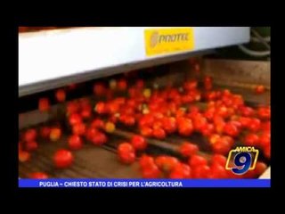 Puglia | Chiesto stato di crisi per l'agricoltura