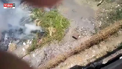 قارئ يشكو حريق مخلفات محطة كهرباء فى باسوس بالقليوبية