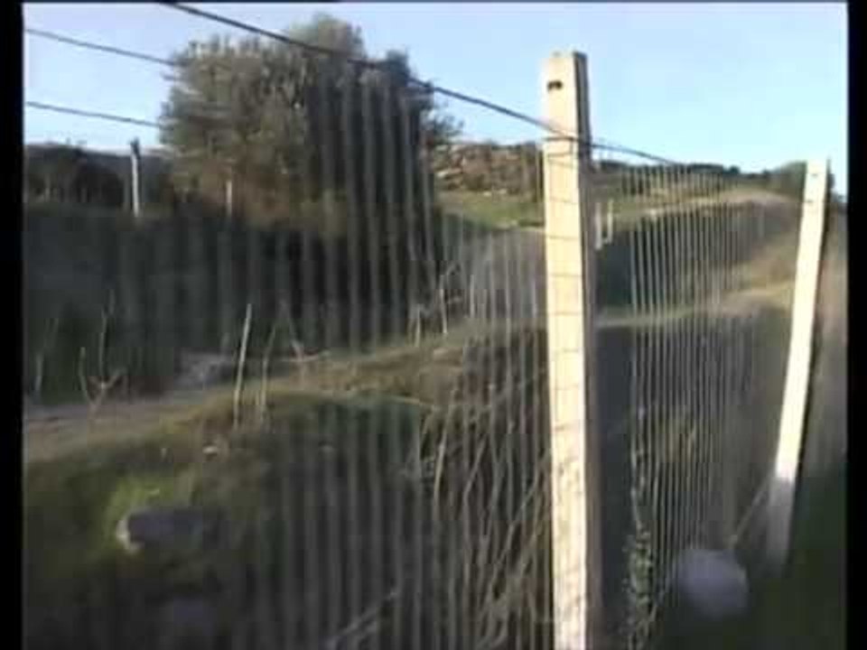 TG 11.09.13 Criminalità in campagna, l'impegno di Bubbico