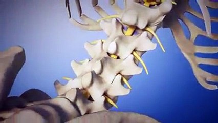 Phòng khám đa khoa thái bình dương