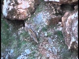 TG 13.09.13 Parco Alta Murgia, è polemica sulle esercitazioni militari