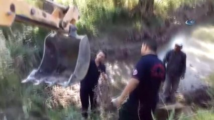 Çamura Saplanan İneği İş Makinesi ile Kurtardılar