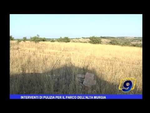 Interventi di pulizia per il parco dell'Alta Murgia